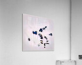 2907 8K Acrylic Print