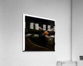 2902 8K Acrylic Print