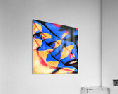 2911 8K Acrylic Print