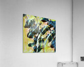 2895 8K Acrylic Print