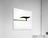 2915 8K Acrylic Print