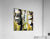 2888 8K Acrylic Print