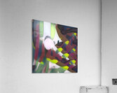 2889 8K Acrylic Print