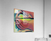 2891 8K Acrylic Print