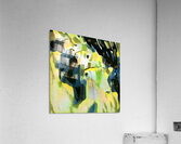 2932 8K Acrylic Print