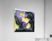 2944 8K Acrylic Print