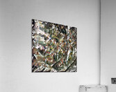 2931 8K Acrylic Print