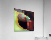 2924 8K Acrylic Print