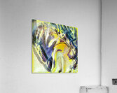 2939 8K Acrylic Print