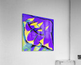 2982 8K Acrylic Print