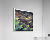 2995 8K Acrylic Print