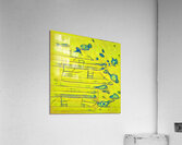 2993 8K Acrylic Print