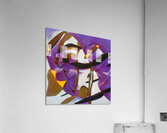 2979 8K Acrylic Print