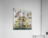 3014 8K Acrylic Print