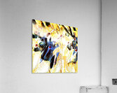 3030 8K Acrylic Print