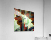 3010 8K Acrylic Print