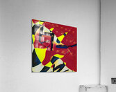 3004 8K Acrylic Print