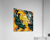 3024 8K Acrylic Print