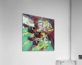 3005 8K Acrylic Print