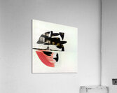 3049 8K Acrylic Print