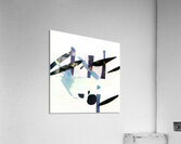 3063 8K Acrylic Print