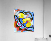 3073 8K Acrylic Print