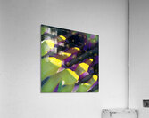 3054 8K Acrylic Print