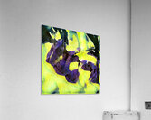 3080 8K Acrylic Print