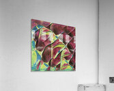 3069 8K Acrylic Print