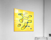 3044 8K Acrylic Print