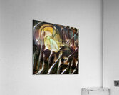 3053 8K Acrylic Print