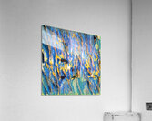 3113 8K Acrylic Print