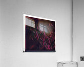 3089 8K Acrylic Print