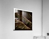 3112 8K Acrylic Print