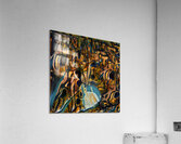 3102 8K Acrylic Print