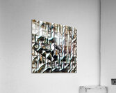 3117 8K Acrylic Print