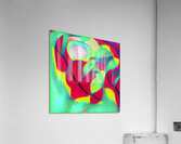 3083 8K Acrylic Print