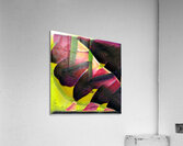 3111 8K Acrylic Print