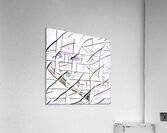 3155 8K Acrylic Print