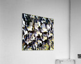 3131 8K Acrylic Print