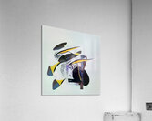 3151 8K Acrylic Print