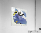 3121 8K Acrylic Print