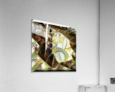 3134 8K Acrylic Print