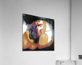 3149 8K Acrylic Print