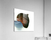 3123 8K Acrylic Print