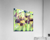 3128 8K Acrylic Print