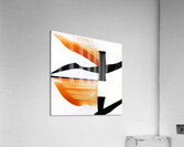 3199 8K Acrylic Print