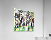 3200 8K Acrylic Print