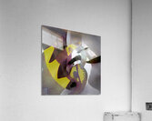 3193 8K Acrylic Print