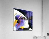 3169 8K Acrylic Print